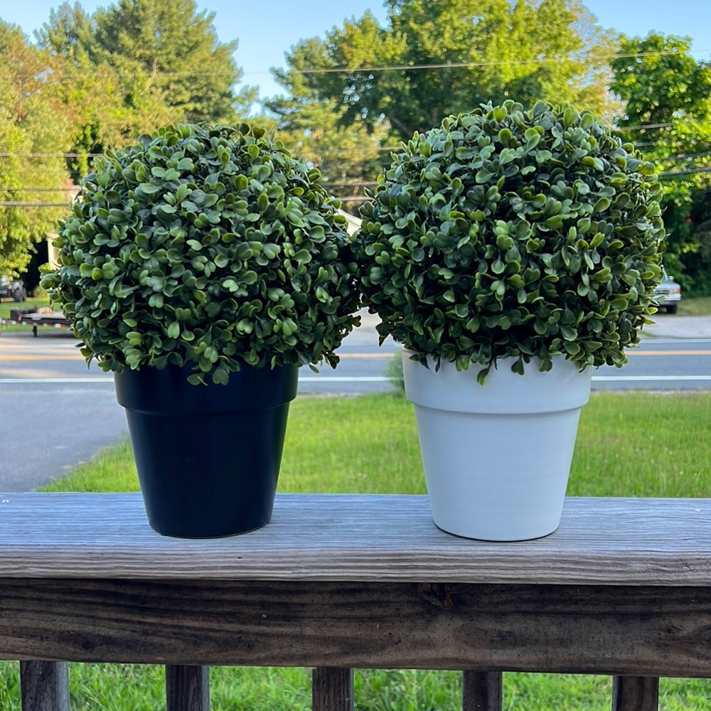 fake plants